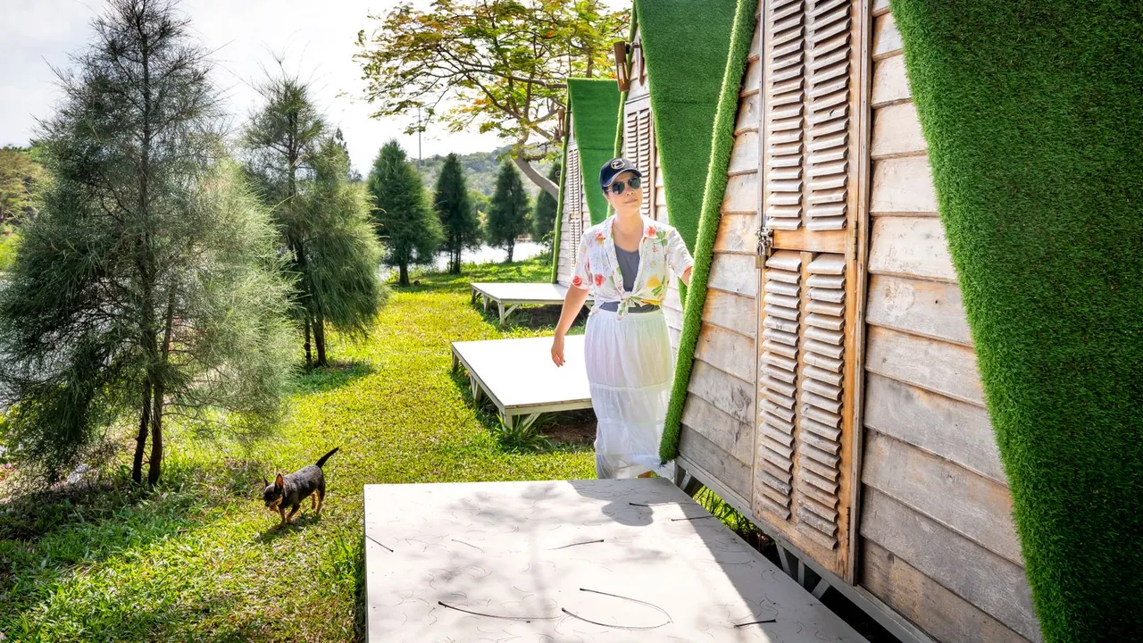 Casas rurales con perros en España: guía para elegir